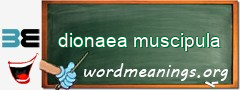 WordMeaning blackboard for dionaea muscipula